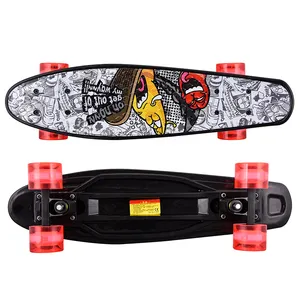 Complete Fish Skate Board 22 Inch Skateboard