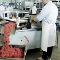 Hachoir Industriel à Bol pour Viande (Bœuf, Porc, Poulet), Saucisses, Boulettes, Burgers et Émulsions de Viande