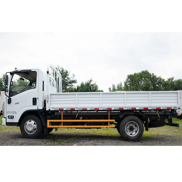 Camion de cargaison d'Isuzu NPR de vente chaude Euro 6 fiable et efficace véhicule porteur d'occasion à vendre