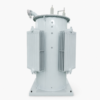 Système de distribution d'énergie pour l'Amérique du Sud et le Moyen-Orient, 11 kV, 110 kVA, courant nominal 100 A, régulateur de tension automatique monophasé AVR