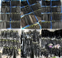 Extensions de cheveux humains vietnamiens vierges à double trame, qualité luxe, sans perte ni nœuds, vente en gros