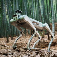 Robot quadrupède Magiclab, analyse complète indépendante, Magicdog de haute qualité