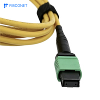 Câble Trunk Fibre Optique OS2 12 Cœurs à Faible Perte d'Insertion 0.15dB pour Centre de Données 400G 800G 2m MPO Monomode