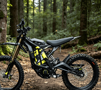 Prêt à être expédié : Vélo électrique tout-terrain compact pour jeunes 2026 Light Bee S, certifié CE, Surron Light Bee Ebike
