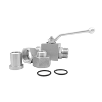 Robinet à tournant sphérique soudé bout à bout en acier inoxydable 304 contrôle hydraulique haute pression filetage externe puissance manuelle pour l'eau-OEM