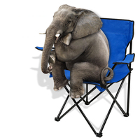 Chaise de plage pliable légère en gros Chaise de camping pliante de haute qualité pour pique-nique et pêche