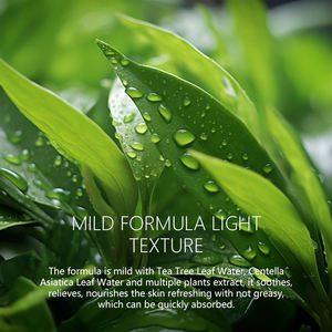 Sérum d'arbre à thé de marque privée formule <span class=keywords><strong>pour</strong></span> peau claire <span class=keywords><strong>pour</strong></span> peau sèche dissolvant efficace de <span class=keywords><strong>boutons</strong></span> d'acné rétrécissement des pores caractéristique cible faciale - Product Image 4