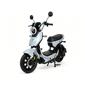 Nouveau Vélo Électrique Y2-FXZ, Scooter Électrique, <span class=keywords><strong>Moteur</strong></span> Étanche, Vélos de Livraison Alimentaire Électriques 1000W, Prix Moto - Product Image 2