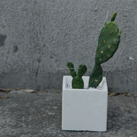 Pot de fleurs minimaliste carré en ciment, conteneur écologique en béton pour plantes, pour la décoration de la maison et du bureau, moule personnalisé, approvisionnement en gros