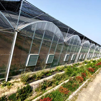 Grande serre commerciale multi-travées de type tunnel pour la culture hydroponique de tomates et de fraises, conception personnalisée, galvanisation à chaud simple.