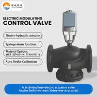 Vanne de régulation électro-hydraulique SS304 4-20mA 0-10V 3 positions à rappel par ressort 2800N avec auto-étalonnage AC230V AC24V