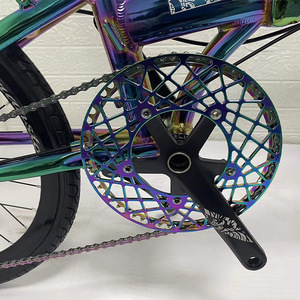 Vélo pliant 20/22 pouces, tube droit, 10 vitesses, freins à disque en aluminium, roues 451, finition dorée électrolytique, 10s, tube droit 20/22 pouces, 10 vitesses - Product Image 3