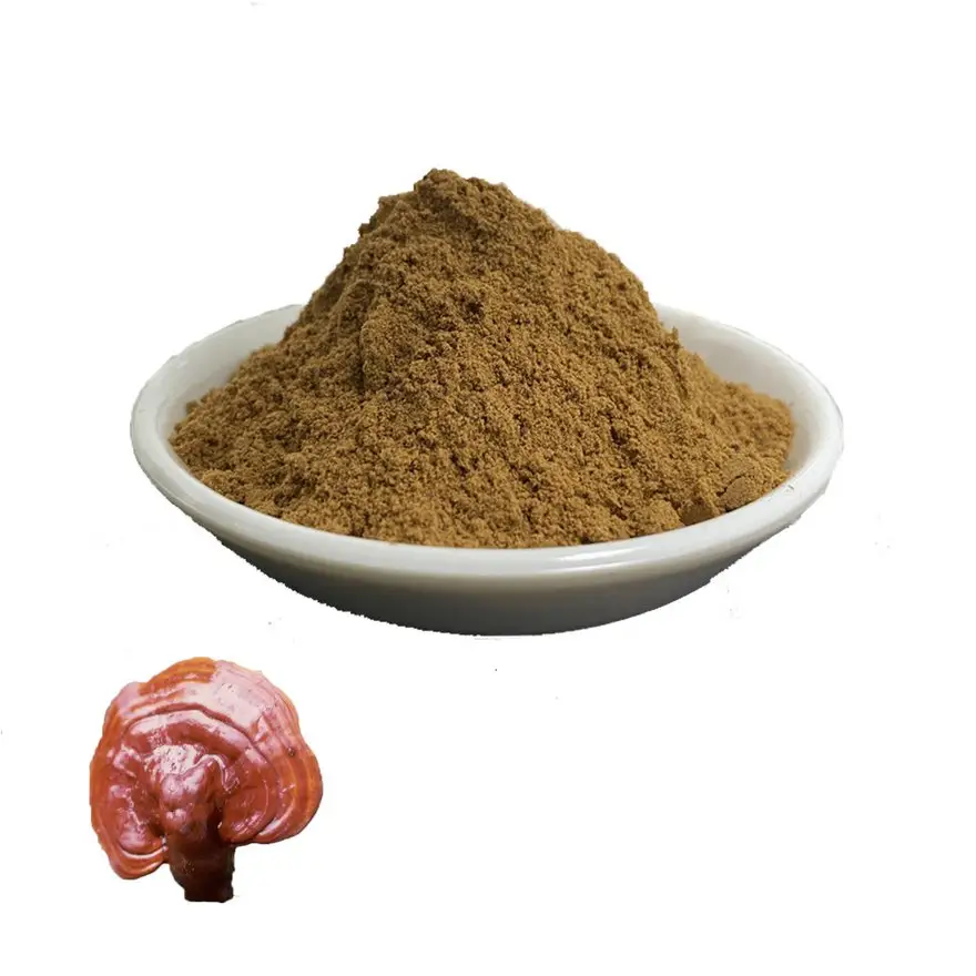 Toptan OEM Reishi mantarı Reishi özü tozu Ganoderma özü tozu üzerinde 10% triterpenes