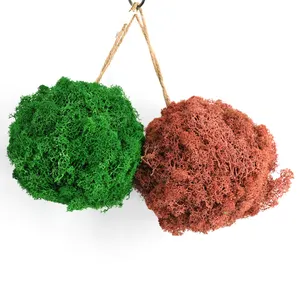 Preserved green moss ball for home decoration natural style indoor festival suppliers preserved moss