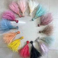 PPL65 Stipa Rumput Pampas Warna Gradasi Bunga Abadi untuk Dekorasi Rumput Bulu Alami