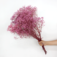 Bunga Gypsophila Kering Putih Awet 60cm untuk Kerajinan DIY Dekorasi Thanksgiving Pernikahan