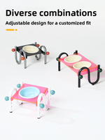 Support de gamelle surélevé moderne et transparent pour animaux de compagnie, avec bols en céramique inclinés pour chats et petits chiens, équipement d'alimentation OEM en gros