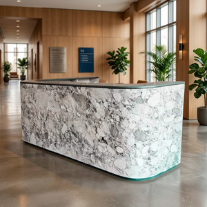 Losa delgada de mármol blanco, chapa de piedra de mármol natural, diseño contemporáneo, revestimiento de pared interior, acabado de superficie duradero - Product Image 4