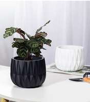 Vente en gros de pots de fleurs d'intérieur, pots de fleurs modernes de grande taille, pots de fleurs en céramique pour jardin, à prix avantageux