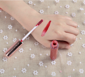 12 colores <span class=keywords><strong>China</strong></span> cosméticos proveedores brillo de labios lápiz labial Etiqueta Privada claro impermeable brillo de labios - Product Image 3