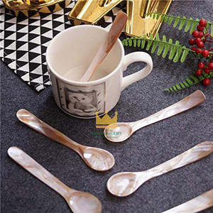 Cuillère à glace en nacre naturelle, cuillère à café, cuillère à caviar en nacre, prix avantageux - Product Image 5