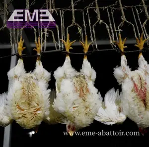 2000 BPH Carcass Plucking Machine Poultry Slaughter Equipment For Slaughterhouse Chicken Meat Processing Machine