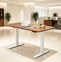 Cadre de bureau électrique réglable en hauteur à double moteur et 2 pieds, écologique et durable, vente directe d'usine OEM chinoise à bas prix