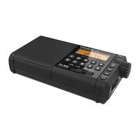 Radio portable vintage PANDA T-02 MP3, personnalisable, sensible, puissante, avec batterie rechargeable et écran LED – Vente en gros usine