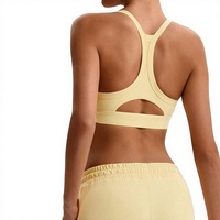 Soutien-gorge de sport Euro-Américain transfrontalier pour femme, coupe ajustée, séchage rapide, maintien élevé, bretelles croisées, en Spandex/Nylon