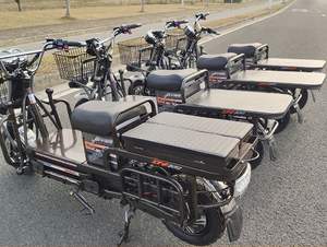 Uzun menzilli yüksek hızlı 1200w 2000w 500kg kargo teslimat yükleyici elektrikli scooter - Product Image 1