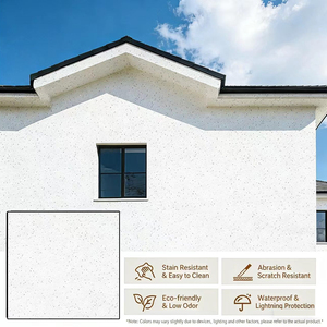 Vernice Effetto Granito per Pareti Esterne, Rivestimento Testurizzato con Effetto Pietra Naturale - Product Image 4