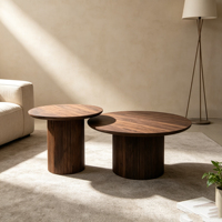 Ensemble de 2 tables basses gigognes rondes en noyer foncé, mobilier moderne pour salon, commande en gros, ODM