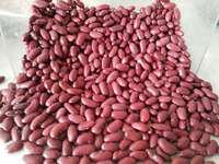 Haricots rouges Rajma (haricots rouges) - Prix des haricots rouges