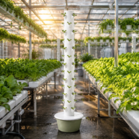 Système de culture hydroponique vertical à 13 niveaux à haut rendement pour la culture de légumes à la maison, dans la cuisine ou sur le balcon