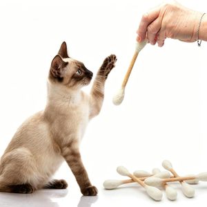 <span class=keywords><strong>Jouet</strong></span> écologique en coton à l'herbe à chat pour l'ennui en intérieur, cordes durables pour le nettoyage dentaire, <span class=keywords><strong>grand</strong></span> <span class=keywords><strong>jouet</strong></span> interactif en feutre pour chat - Product Image 4