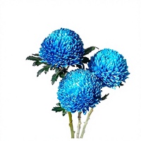 Karangan Bunga Peony Krisan Kunming Yunnan, Bahan Rambut Lurus, Warna Lengkap, Bunga Potong, untuk Pesta Peresmian Rumah dan Kunjungan