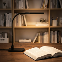 Lampe de bureau LED USB non rechargeable à brancher, pour la protection des yeux, portable et anti-étincellement, idéale pour les étudiants