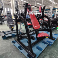 Máquina de Pullover con Carga de Placas de Acero Comercial SK con Características de Seguridad para Entrenamiento de Espalda y Látigos, Equipo de Gimnasio para Centro de Fitness OEM/ODM