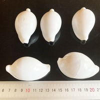 Coquillages naturels de lapin blanc, cauris pour la décoration de la maison en DIY