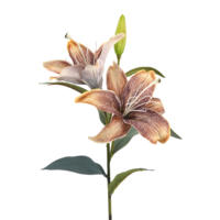 Fleurs artificielles de lys à toucher réel de qualité supérieure, en soie, à tige unique, bouquet de mariée de luxe pour Halloween, décoration d'intérieur