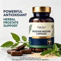 Capsules pour la santé de la prostate à base de plantes avec extrait de palmier nain, extrait de racine d'ortie, extrait de curcuma, extrait de thé vert