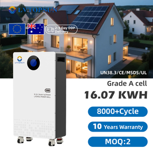 Sistema de Almacenamiento de Energía Solar de Alta Capacidad de 16 kWh, Paquete de Baterías de Iones de Litio de 51.2 V y 314 Ah |   Fabricante de BESS de Primera Línea Desde 2016 - Product Image 3