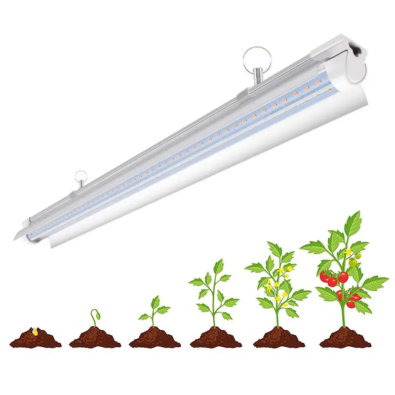 Фабричное производство, различные лампы для выращивания растений, светодиодные лампы для выращивания растений в помещении