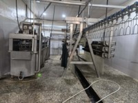 Machine intégrée entièrement automatique pour l'échaudage et le déplumage des petits poulets, canards, oies et volailles