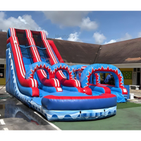 Toboggan Gonflable Tropical Fiesta Breeze pour Fête d'Été - Prix Usine - Toboggan Aquatique Gonflable pour Enfants