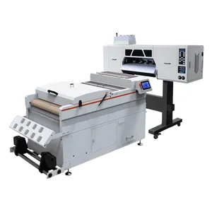 Professional Dtf Printer 60cm Width Printing Two Xp600 Printhead Auto Heating Drying Cooling Solidation Powder