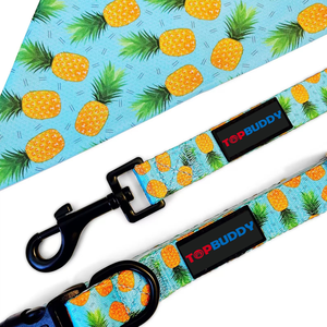 Imbracatura per cani morbida in neoprene regolabile da TOPBUDDY XXXS a <span class=keywords><strong>XXL</strong></span> di alta qualità - Product Image 3