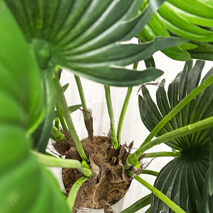 Planta Artificial de Palmera de Abanico KJM Craft de 100 cm, Plástico Verde Realista para Decoración de Interiores, Exteriores, Hogar y Jardín - Product Image 5