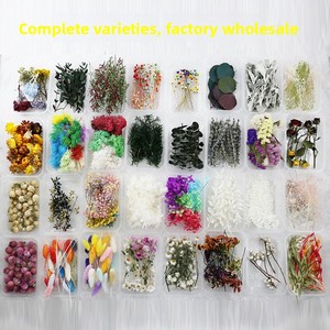 YONGQIN Kit di <span class=keywords><strong>Fiori</strong></span> Essiccati Eterni per Resina Epossidica, Materiali per Creazione di Candele e Cornici Fotografiche Fai-da-Te - Product Image 3