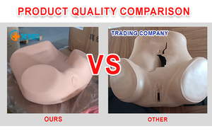 Mengajar Laboratorium Sains Medis Pendidikan & Model Anatomi Medis-model Anatomi Perut Ternak - Product Image 6